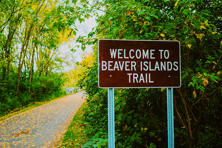 A brown sign reading Welcome to Beaver Islands Trail stands beside a tree-lined path with fallen leaves.
