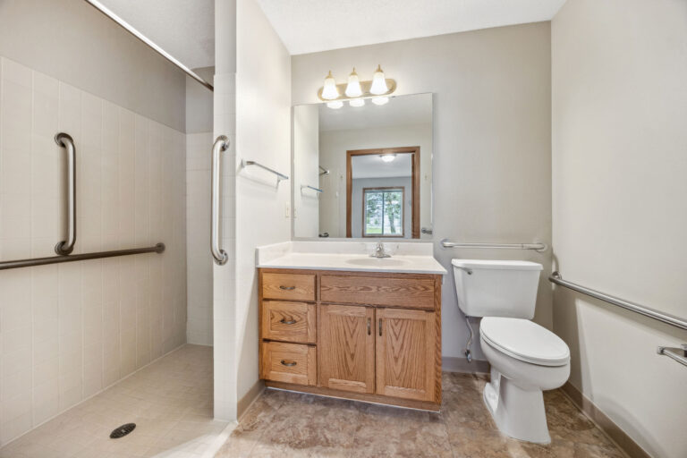 Benedict court bathroom with a walk-in shower, wooden vanity, mirror, toilet, and grab bars on walls.