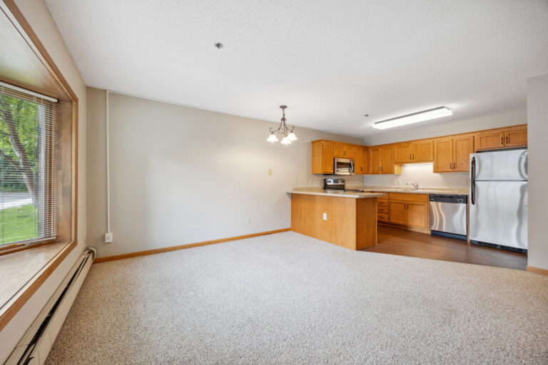Open-concept Benedict Village apartment with light wood cabinets, carpet, large window, and stainless steel appliances.